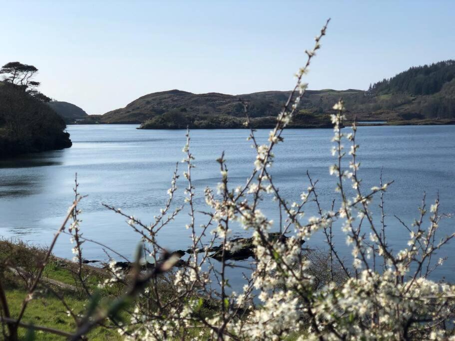 Lough Hyne Cottage سكيبيرين المظهر الخارجي الصورة